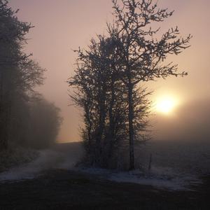 日本性爱精品网
